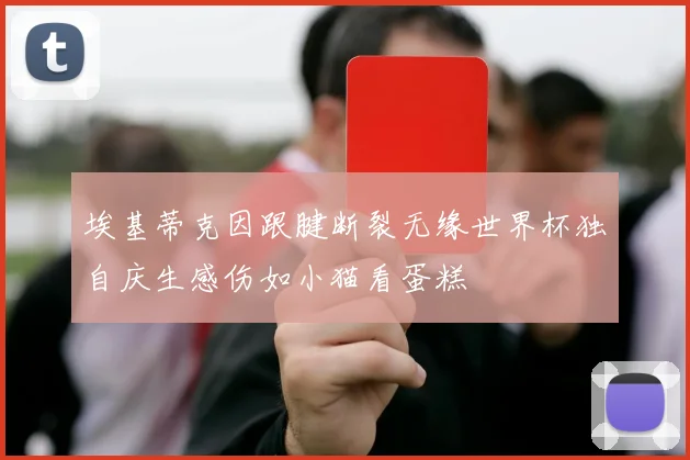 埃基蒂克因跟腱断裂无缘世界杯独自庆生感伤如小猫看蛋糕