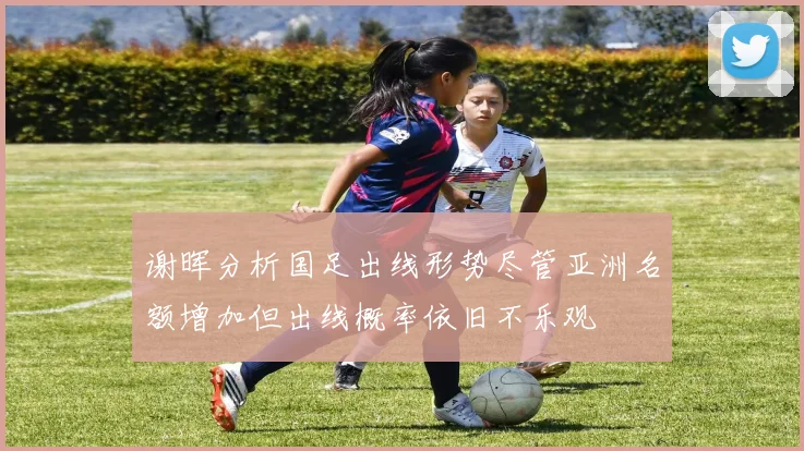 谢晖分析国足出线形势尽管亚洲名额增加但出线概率依旧不乐观