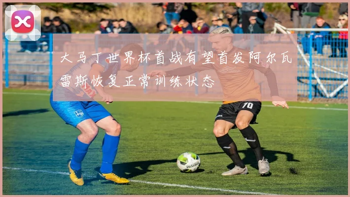大马丁世界杯首战有望首发阿尔瓦雷斯恢复正常训练状态